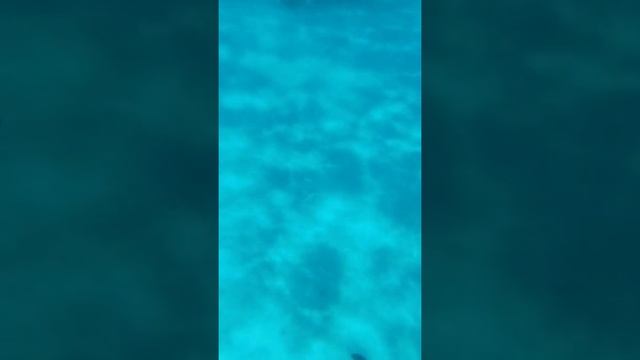 31 июля 2020 г. смотреть онлайн