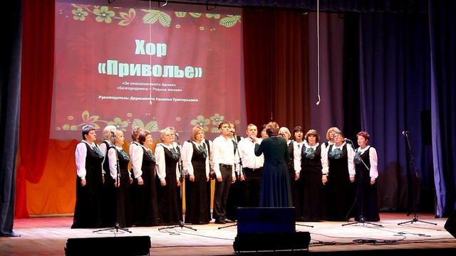 Поповский МСДК Хоровой коллектив Приволье