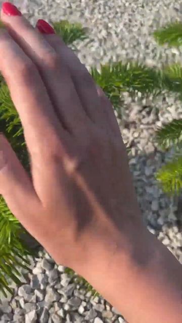 Упаковка растений при отправке на СДЭК #растения #питомникрастений #сдэк смотреть онлайн