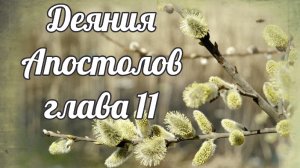 Деяния Апостолов глава 11