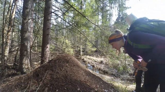 Звездочка ТК МГУ 2017. Эпизоды смотреть онлайн