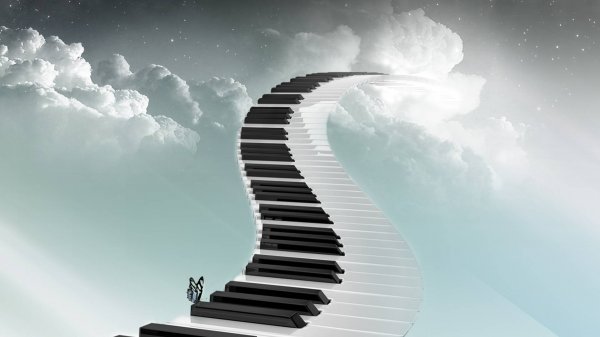 RAYHON - Jo'raxon Rahimov