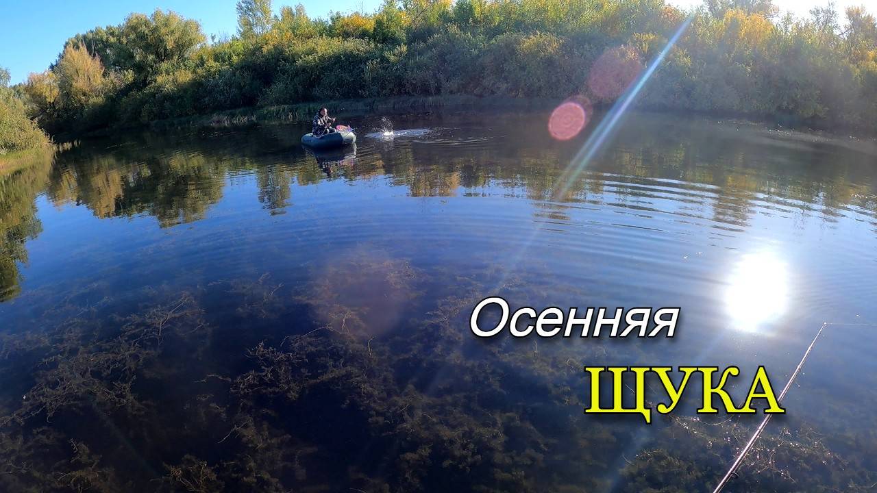 Осенняя рыбалка на хищника. Ловили щуку на спиннинг. смотреть онлайн