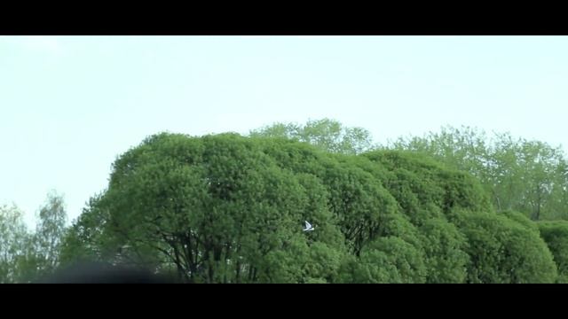 Свадьба Ивана и Ксении