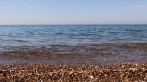 ЛЕНА ХЕППИ. КАК РУССКАЯ БАБУШКА ОКРУТИЛА АМЕРИКАНСКОГО ДЕДУШКУ. LENA HAPPY НЕРВЫ СДАЮТ. ОПРАВДАШКИ.