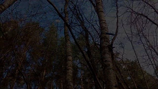 Укороченный диполь на диапазон 40 метров. смотреть онлайн