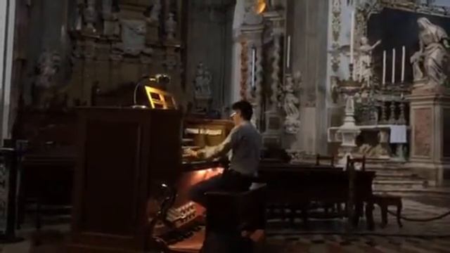 Musica D'Organo In Cattedrale