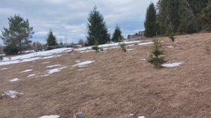 Погуляем вместе ,вскопаем теплицу .