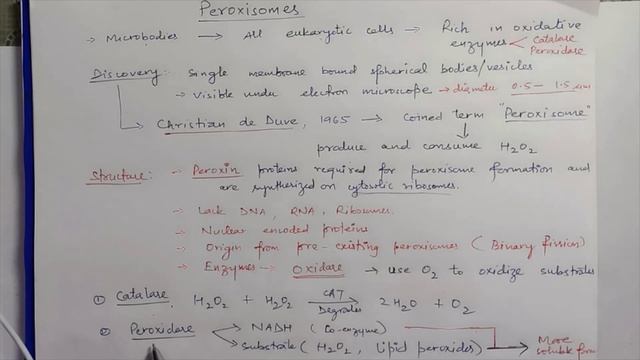 Peroxisomes (For Competitive Exams) смотреть онлайн
