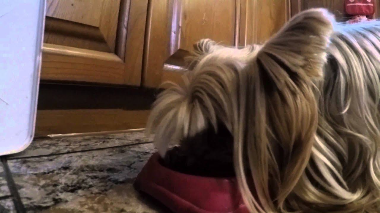 Timati смотреть онлайн