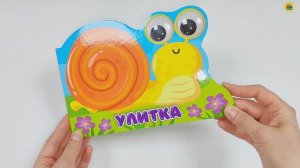 Книжка с глазками. Улитка