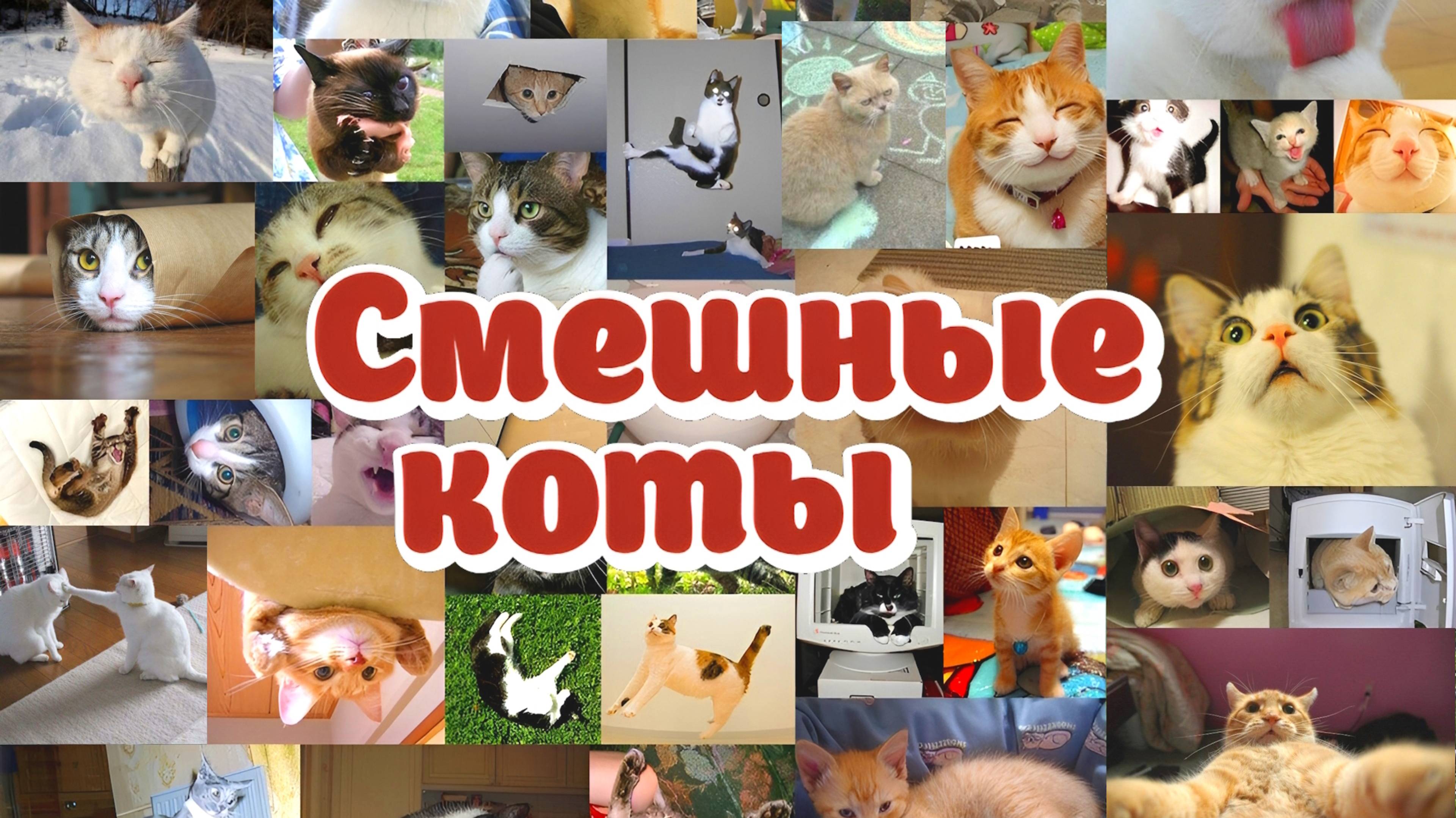 СМЕШНЫЕ КОТЫ! #1 Приколы с котами! СМЕШНЫЕ ЖИВОТНЫЕ! смотреть онлайн