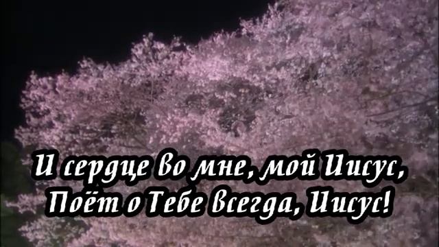 Ксения Лапицкая - За всё Тебя, Господь, я благодарю смотреть онлайн
