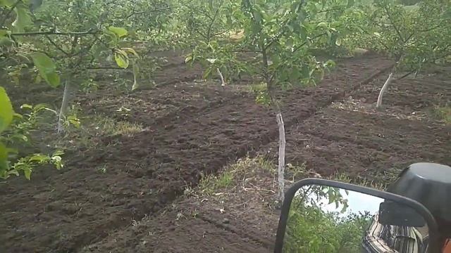 МТ-20 смотреть онлайн