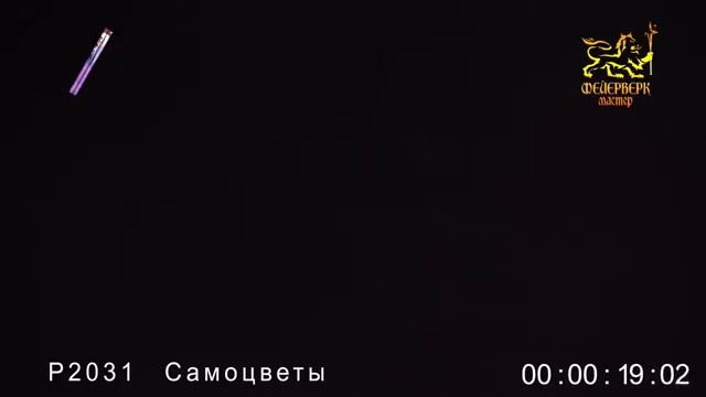 Р2031ФМ Самоцветы (1,25" х 8 залпов) 1/24/2 АКЦИЯ! смотреть онлайн