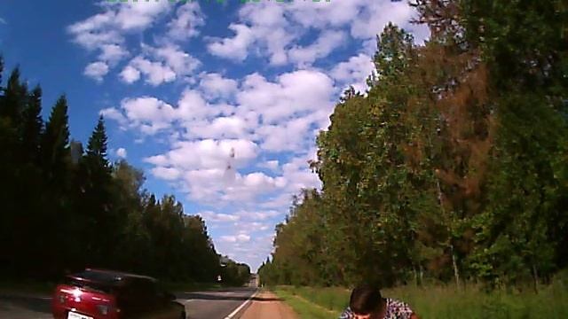 Лось на дороге смотреть онлайн