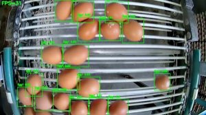 Распознавание яиц с помощью нейросети YOLO