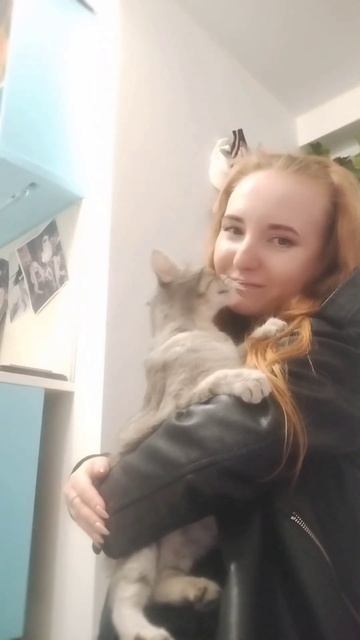Не виделись 10 дней🥺❤️#буськинамать #кошки #котики #животные #cats #animals #cute смотреть онлайн