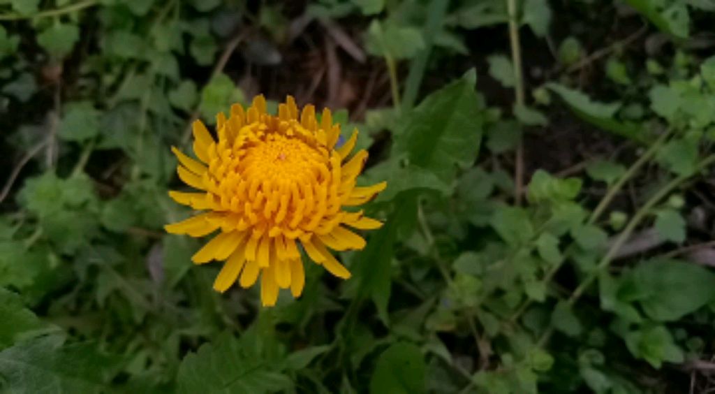 Разговоры о природе мира