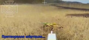 Одинокий ВСУ замаскировался посреди поля