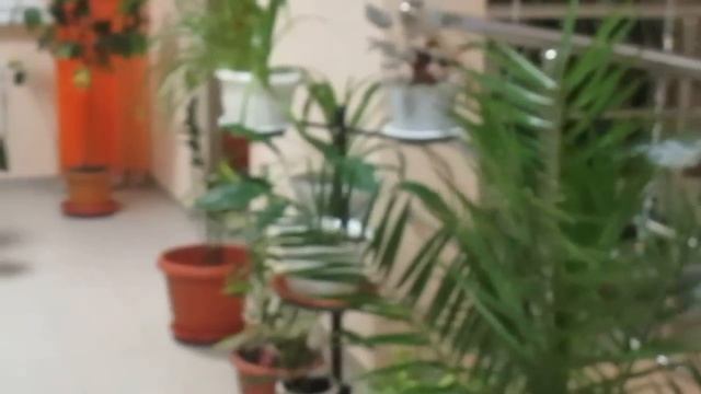 Цветочный перекресток смотреть онлайн