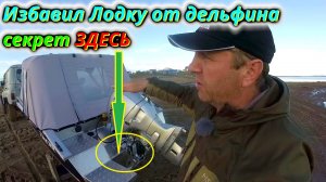 Лодка дельфинирует? Решение за 5 минут!