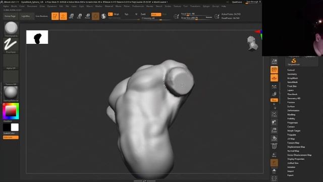 How to Sculpt Torso Blender/Zbrush Anatomy for Artist! Tuturial смотреть онлайн