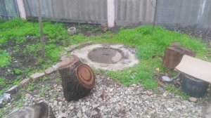 Го́рлицы, или горлинки