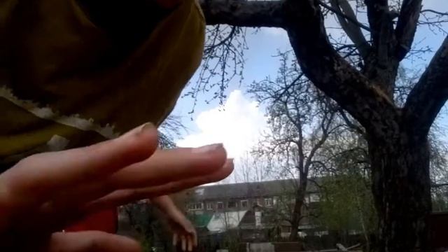 ОБЛИЛ СЕБЯ ВОДОЙ РАДИ ПОДПИСЧИКОВ смотреть онлайн