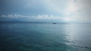 The Cove: Phi Phi - The Most Surprising Facts You've Never Heard