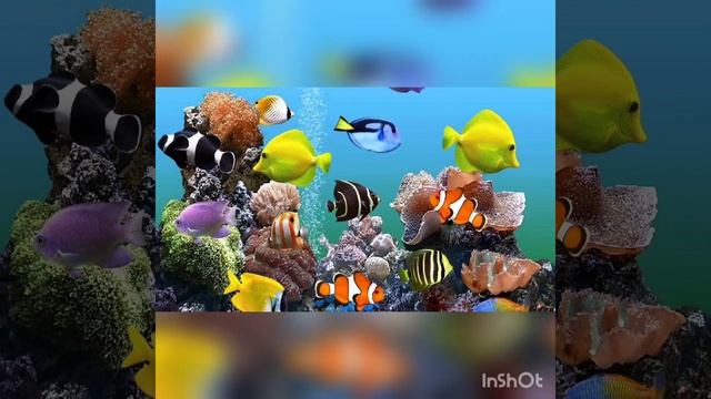 ключ к изобилию 5 день смотреть онлайн