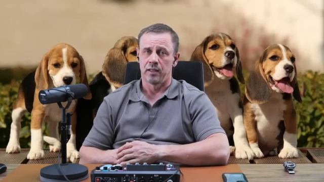 В КОНЦЕ ВООБЩЕ НЕЧТО! | БАНКРОТСТВО смотреть онлайн