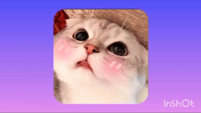 песни для уборки ❤️ для себя ❤️ смотреть онлайн