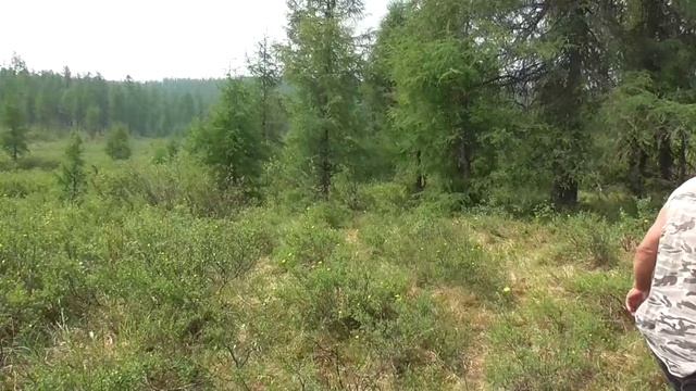 Я как то однажды приехал сюда смотреть онлайн