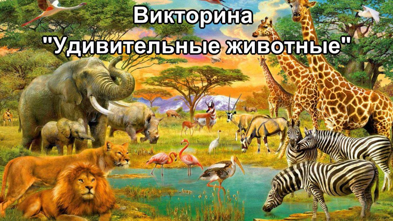 Удивительные животные смотреть онлайн