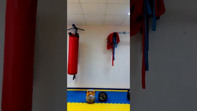 Вырывание гирь ( без замаха ) 53+53 кг и жим в солдатской стойке смотреть онлайн