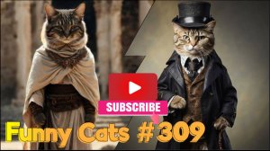 Смешные коты #309
