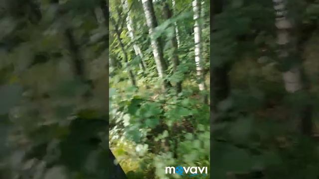 Огонь и вода. Наша жизнь! смотреть онлайн