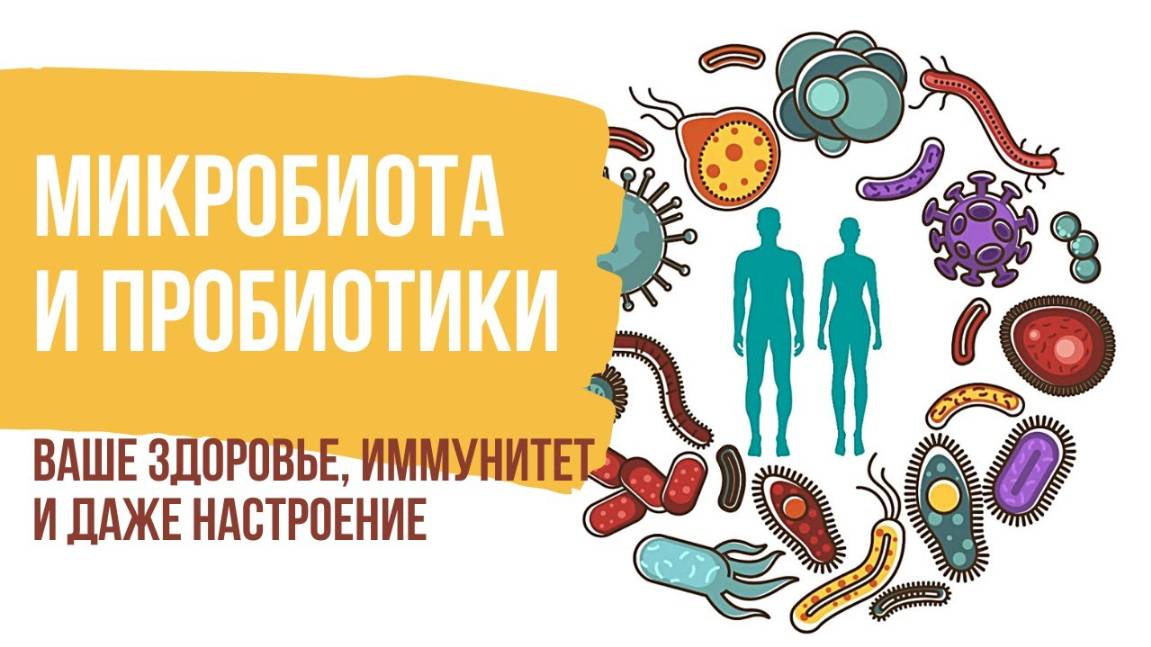Микробиота кишечника человека. Как микробиота влияет на здоровье и иммунитет. Пробиотики смотреть онлайн
