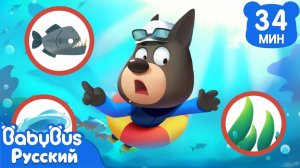Страшный речной монстр | Правила Безопасности | 🔍Новый эпизод мультиков | Шериф Лабрадор | BabyBus