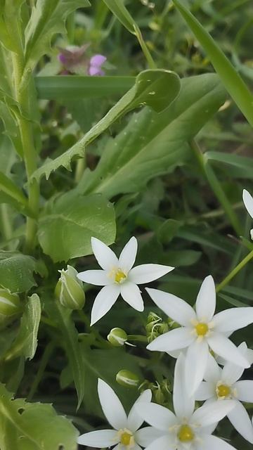 7 апреля Краснодарский край