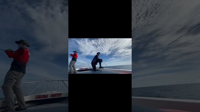 Ruby snapper 2++m deep смотреть онлайн