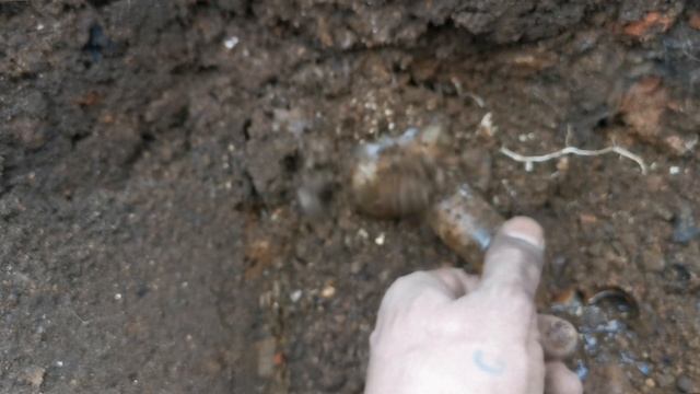 Копатели Калининграда находят ЭТО