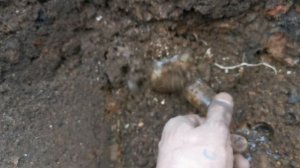 Копатели Калининграда находят ЭТО