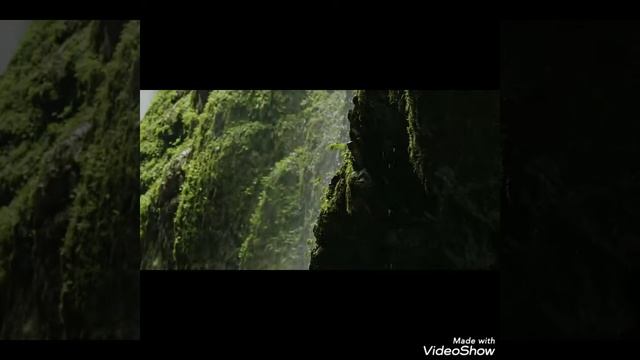 The CANYON. Estas tonne смотреть онлайн