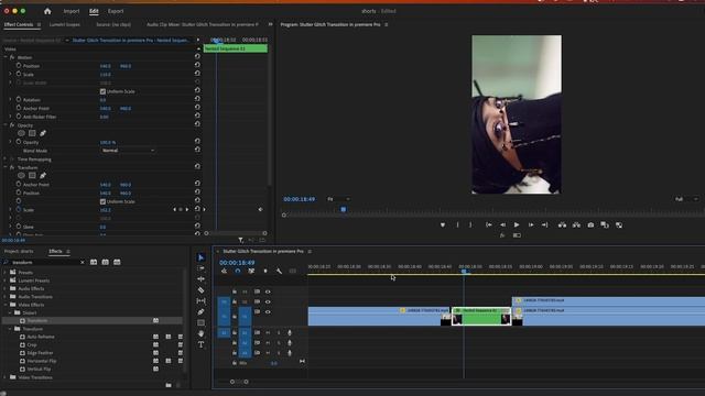 Smooth Freeze Frame In Premiere Pro 2024