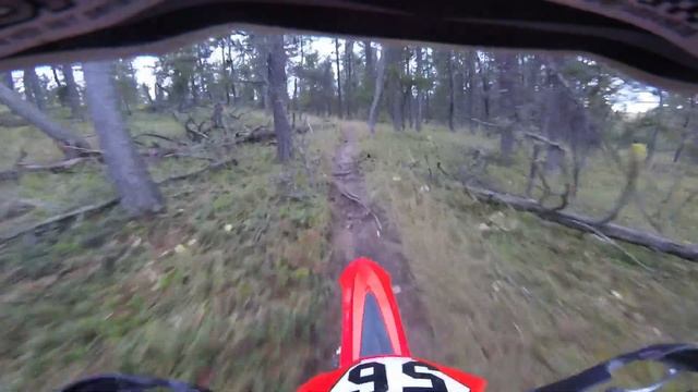 Beta 300 - One Year Review