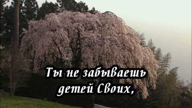 Ксения Лапицкая - Бог любви смотреть онлайн