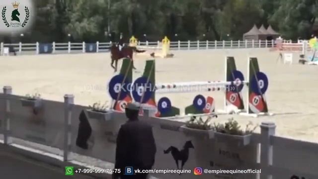 У 209 смотреть онлайн