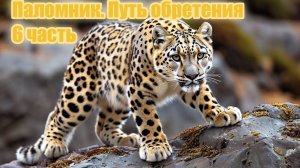 Паломник. Путь обретения 6 часть
